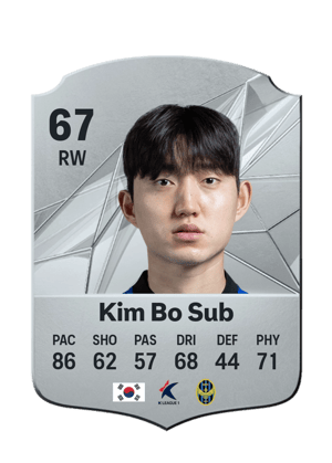Kim Bo Sub