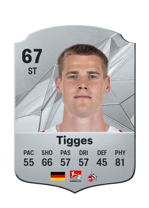 Steffen Tigges