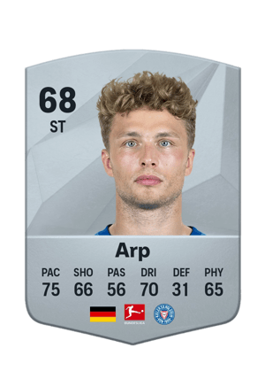 Jann-Fiete Arp