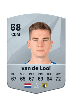 Tom van de Looi