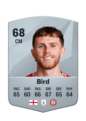 Max Bird