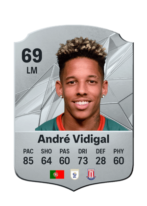 André Vidigal