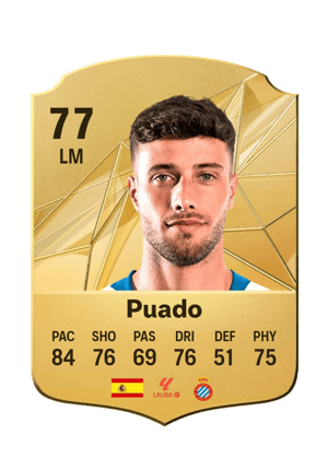 Puado