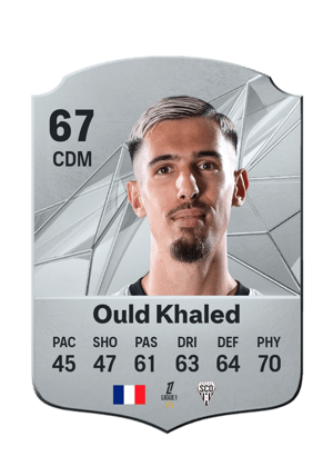 Zinédine Ould Khaled