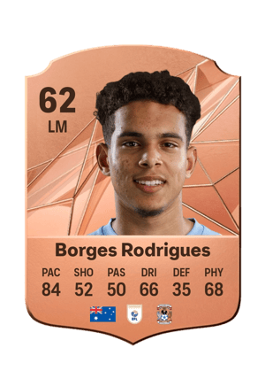 Raphael Borges Rodrigues