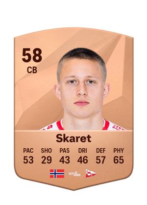 Brage Skaret