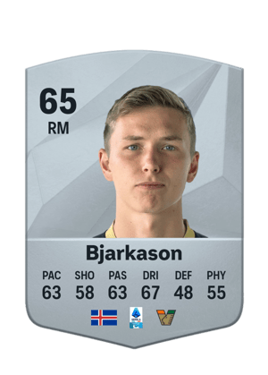 Bjarki Steinn Bjarkason