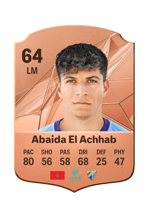 Haitam Abaida El Achhab