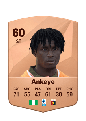 David Ankeye