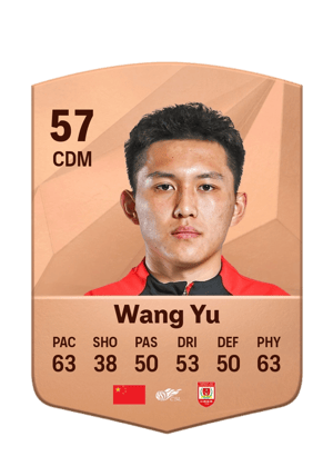 Wang Yu