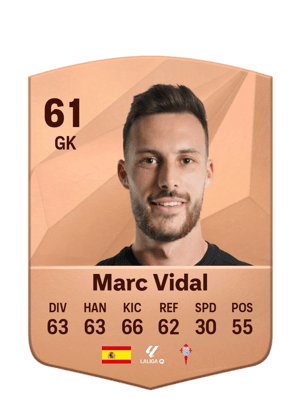 Marc Vidal
