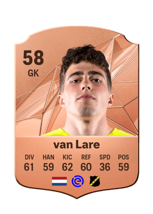 Aron van Lare