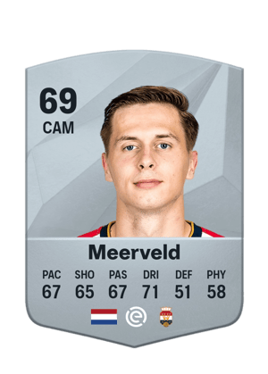 Ringo Meerveld