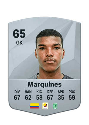 Luis Miguel Marquines