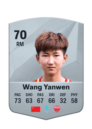 Wang Yanwen