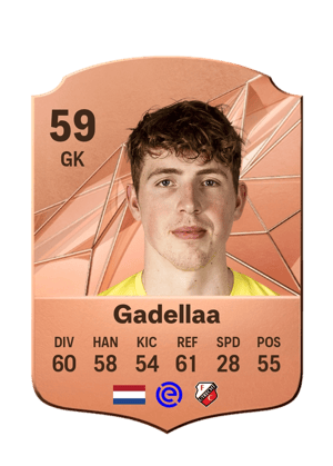 Kevin Gadellaa