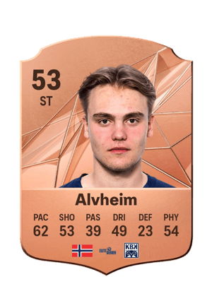 Leander Næss Alvheim