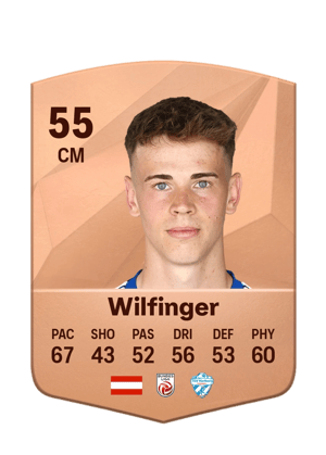 Fabian Wilfinger