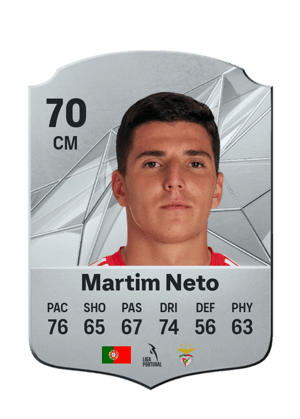 Martim Neto