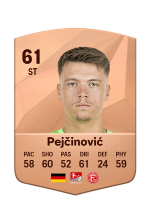 Dženan Pejčinović