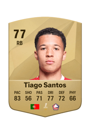 Tiago Santos