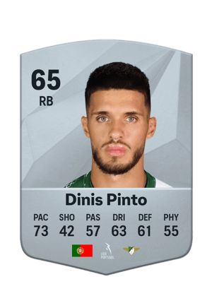 Dinis Pinto