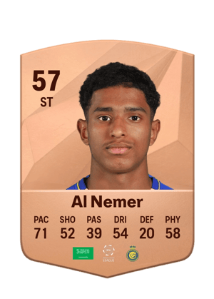 Meshari Al Nemer