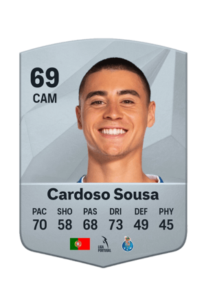 Vasco Jose Cardoso Sousa