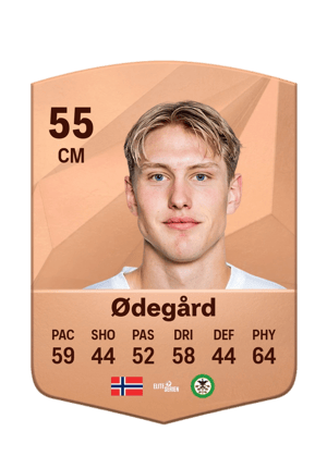 Arne Hopland Ødegård