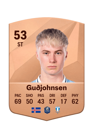 Daníel Tristan Guðjohnsen