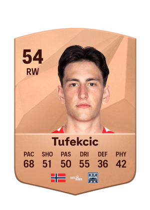 David Tufekcic