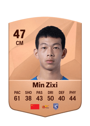 Min Zixi