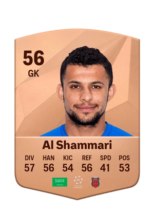 Abdulrahman Al Shammari