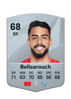 Alaa Bellaarouch