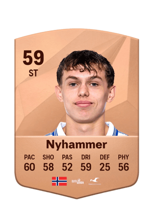 Troy Engseth Nyhammer