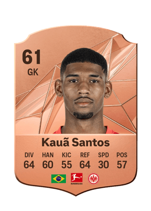 Kauã Santos
