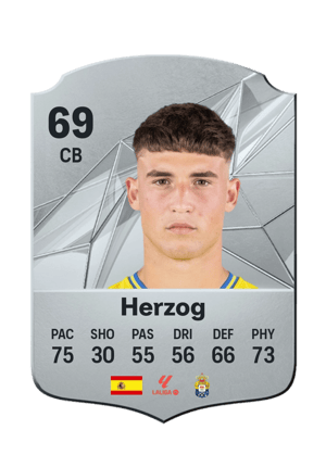 Herzog