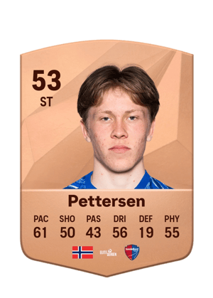 Storm Bugge Pettersen