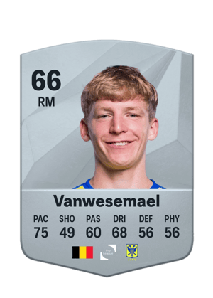 Robert-Jan Vanwesemael