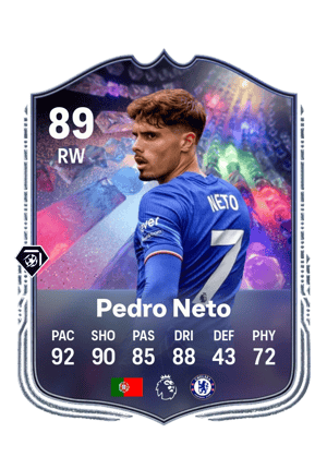 Pedro Neto
