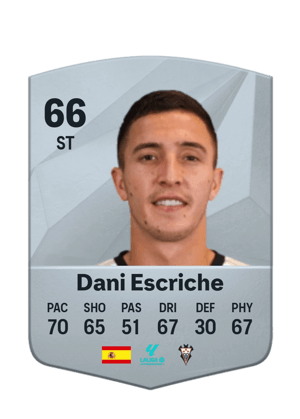 Dani Escriche