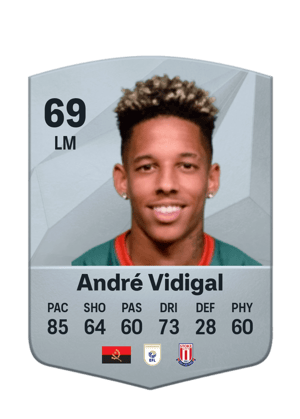 André Vidigal