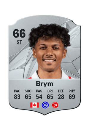 Charles-Andreas Brym