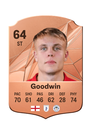 Will Goodwin