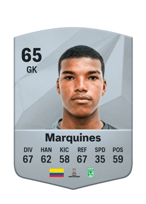 Luis Miguel Marquines