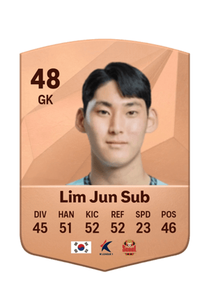 Lim Jun Sub