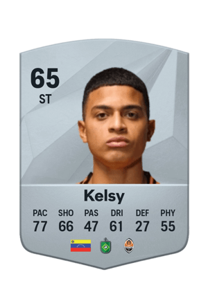 Kevin Kelsy
