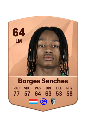Yvandro Borges Sanches