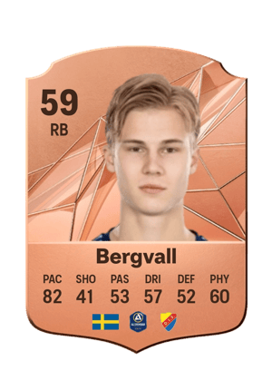 Theo Bergvall
