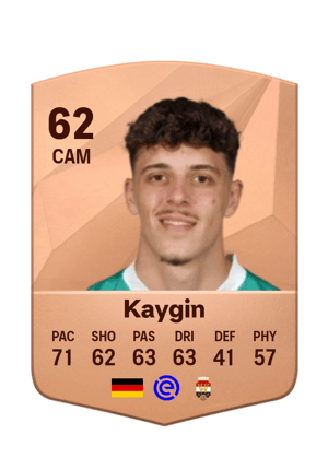 Dennis Kaygin